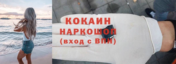прущие грибы Аркадак