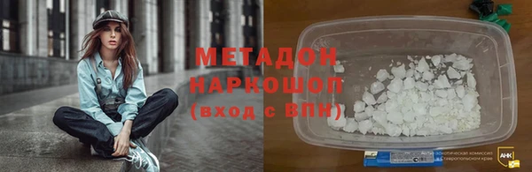 прущие грибы Аркадак