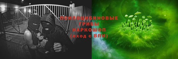 прущие грибы Аркадак