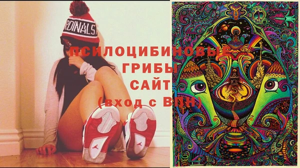марихуана Абинск