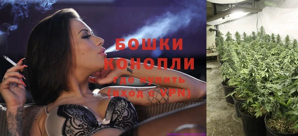 крисы Абдулино