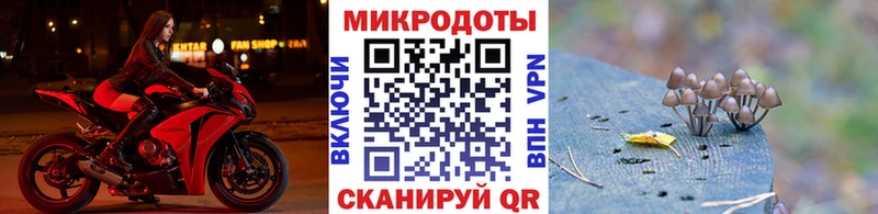 Псилоцибиновые грибы GOLDEN TEACHER  Устюжна 
